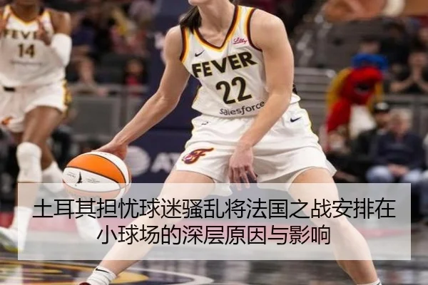 土耳其担忧球迷骚乱将法国之战安排在小球场的深层原因与影响